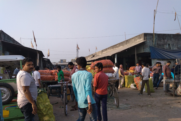 Vegetable Market